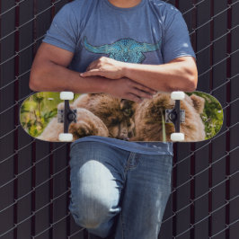 Skate Mamãe urso cuidando de seus dois filhotes, Lago Cl