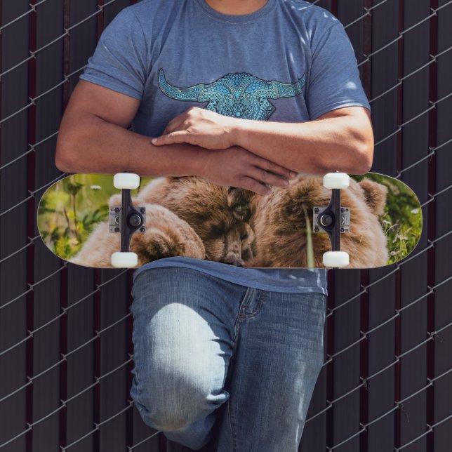 Skate Mamãe urso cuidando de seus dois filhotes, Lago Cl (Ao ar livre 3)