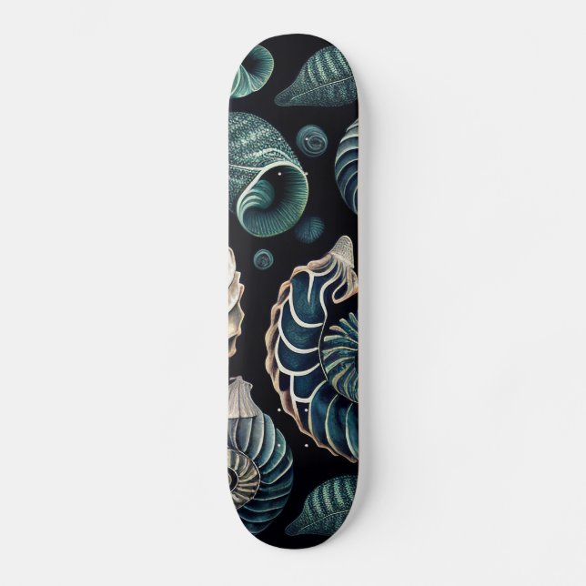 Skate Marine Treasures (Frente)