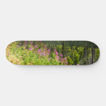 Matanuska Valley, Southcentral Alaska