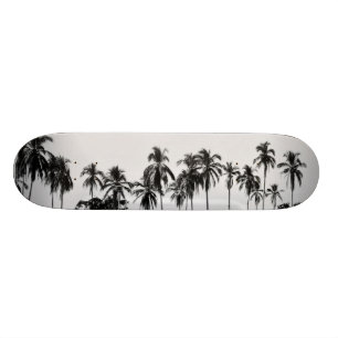 Skate MeddockPhoto_Skateboard_Places