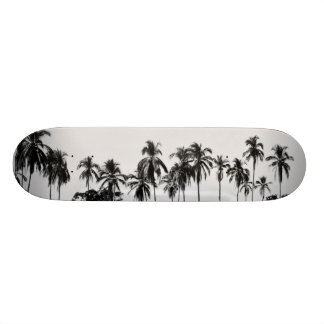 Skate MeddockPhoto_Skateboard_Places