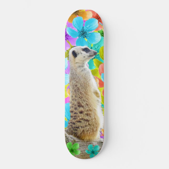Skate Meerkat E Blossomas, (Frente)
