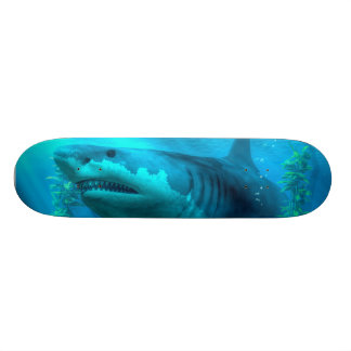 Skate Megalodon