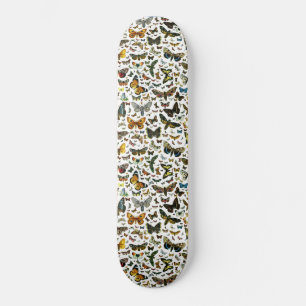 Skate Modelo