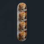 Skate Modelo de Fotos Personalizadas de Gato de Pet Dog<br><div class="desc">Este design pode ser personalizado na área fornecida alterando a foto e/ou o texto. Ou pode ser personalizado escolhendo o clique para personalizar outra opção e excluir ou alterar a cor do plano de fundo, adicionar texto, alterar a cor ou o estilo do texto ou excluir o texto de um...</div>