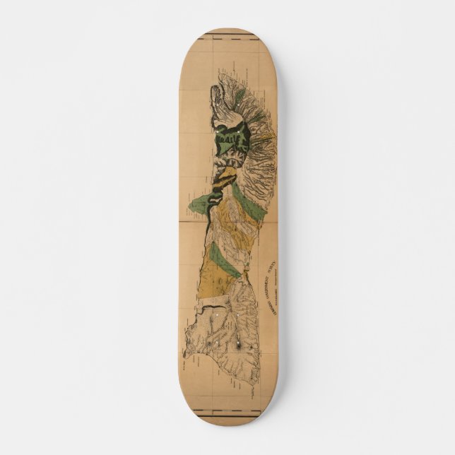 Skate Molokai, 1897, mapa de Havaí do vintage (Frente)