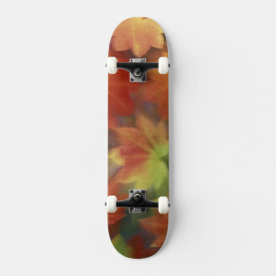Skate NA, EUA, Washington, Issaquah, Bordo de vinha