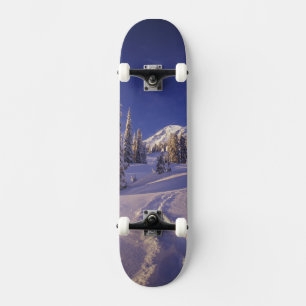 Skate NA, EUA, Washington, Mt. Rainier NP, Neve profunda
