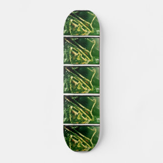 SKATE NOCKLIST