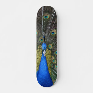Skate O conselho do pavão