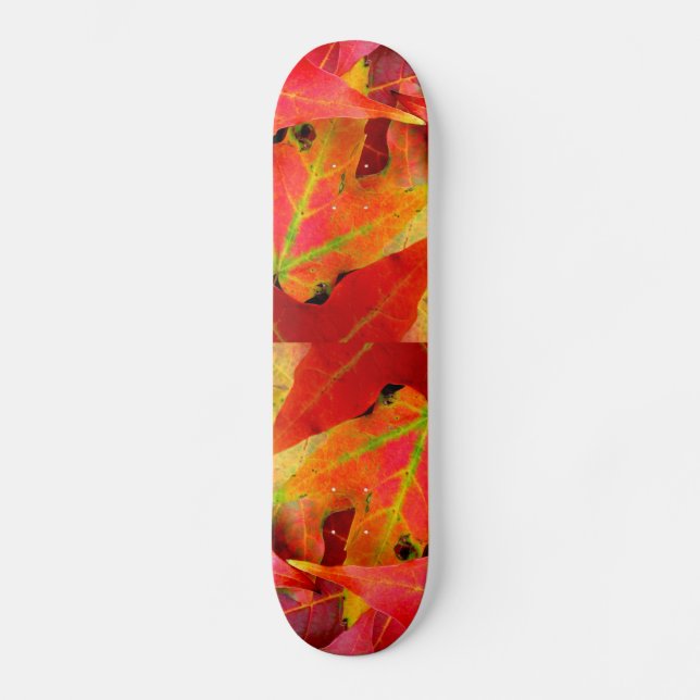 Skate O outono Colorido deixa o Close-up (Frente)