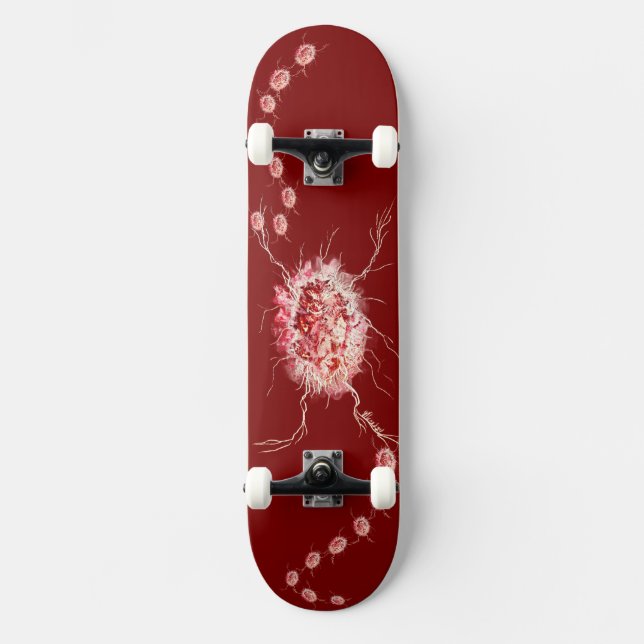 Skate O Polidor de Pedras (Frente)