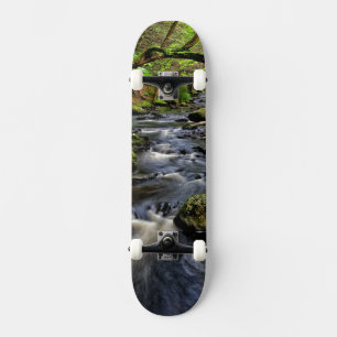 Skate O riacho flui pela floresta