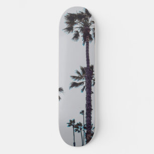Skate Oceanside Palm Trees