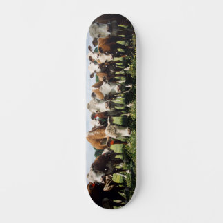 Skate Olhe aqui Cowabunga