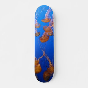Skate Orange Jellyfish