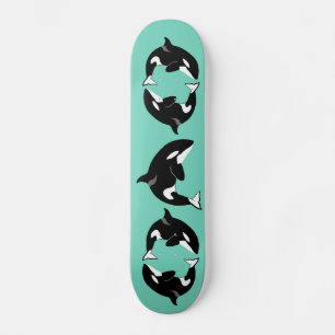 Skate Orca Killer Whale 