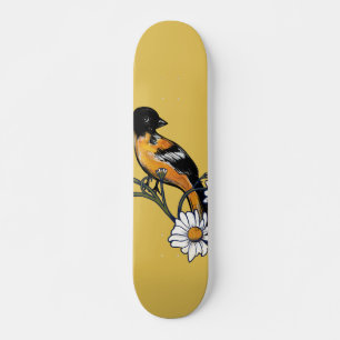 Skate Oriole Bird Daisy Flower Nature Art