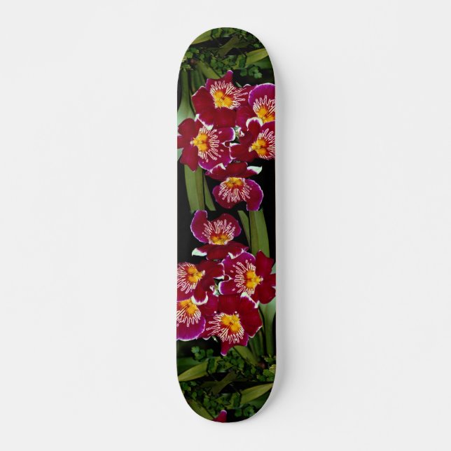 Skate Orquídea bonita, híbrido do miltonia (Frente)