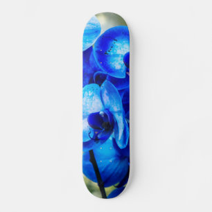Skate Orquídeas azuis