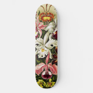 Skate Orquídeas, Orquídeas Denusblumen Ernst Haeckel