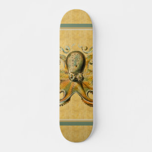 Skate Outdoor Octopus