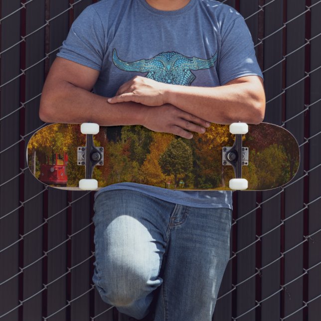 Skate Ovo Harbour, WI Fall Season com carro de rolley (Ao ar livre 3)