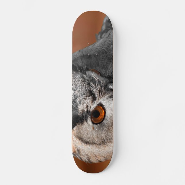 Skate Owl Stare (Frente)