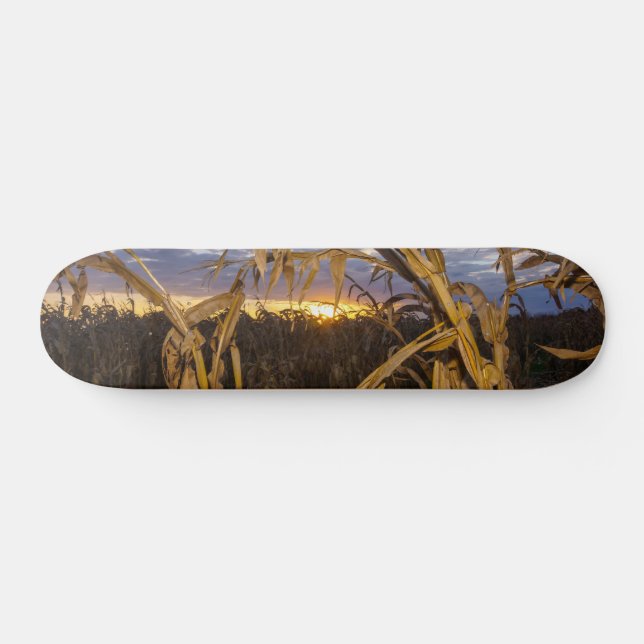skate Ozarks Harvest (Horz)