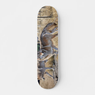 Skate Pacote de lobos na pintura florestal