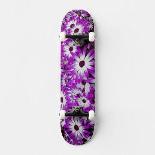Skate Padrão de flores, Jardins Kuekenhof, Lisse,