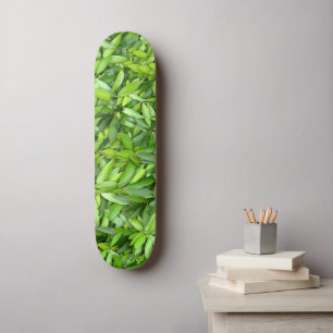 Skate Padrão de Folhas Verde Lush - Botânica da Natureza