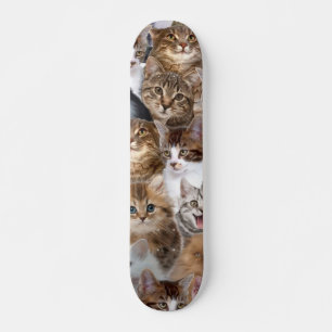 Skate Padrão do Cat Faces