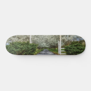 Skate Página inicial da unidade de primavera