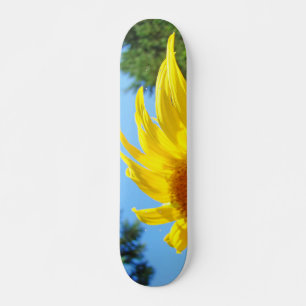 Skate Painéis de girassol Personalizar presentes persona