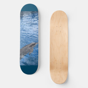 Skate Painel de golfinhos