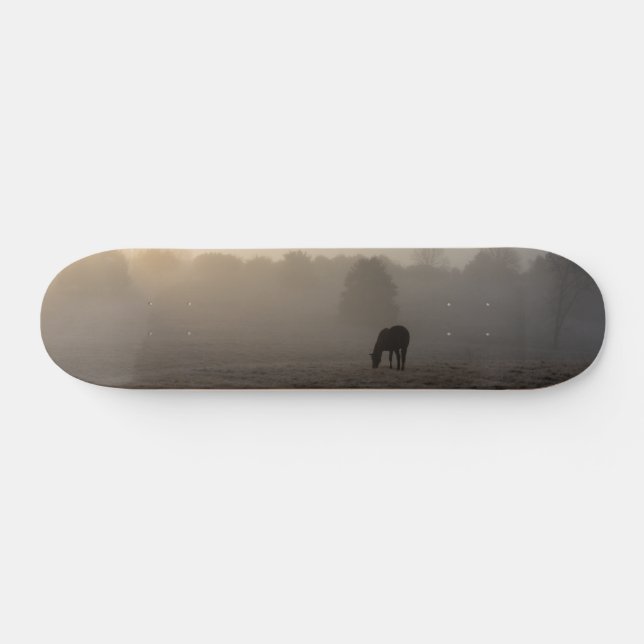 Skate Painel de navegação da Manhã (Horz)
