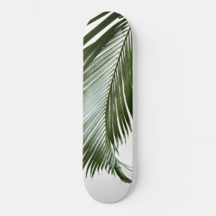 Skate Palm Leaf Finesse #2 #tropical #wall #art