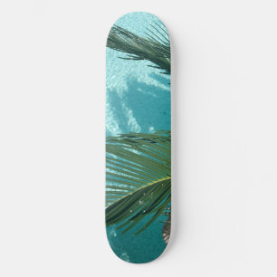 Skate palmeira sobre a água