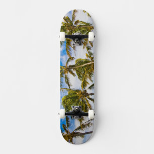Skate Palmeiras de coco (Cocos nucifera) balançando ao