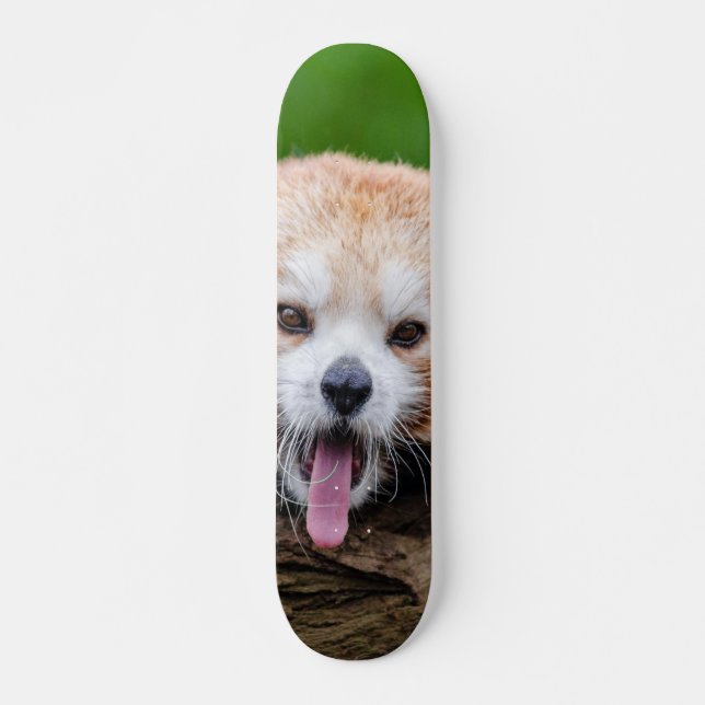 Skate Panda vermelha (Frente)
