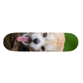 Skate Panda vermelha