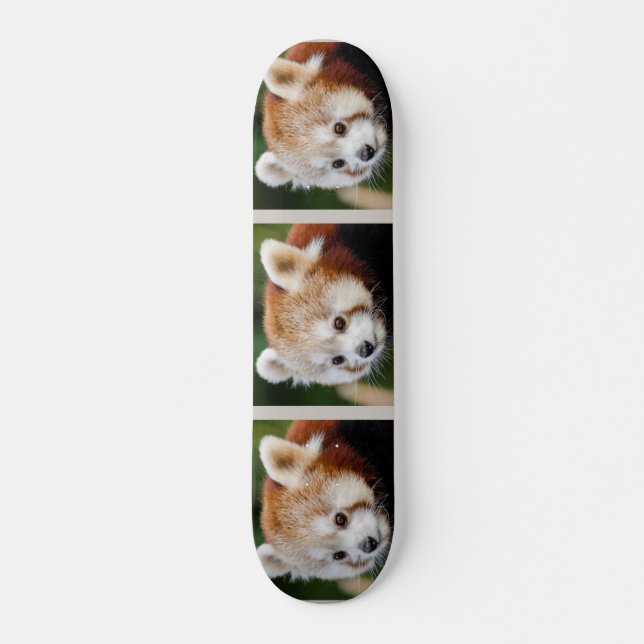 Skate Panda Vermelha Bastante Animal (Frente)
