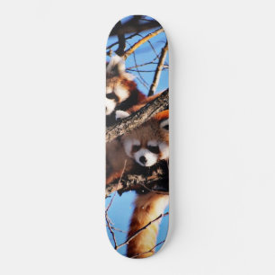 Skate pandas vermelhas