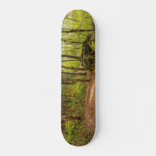 Skate Para Baixo E Ao Redor