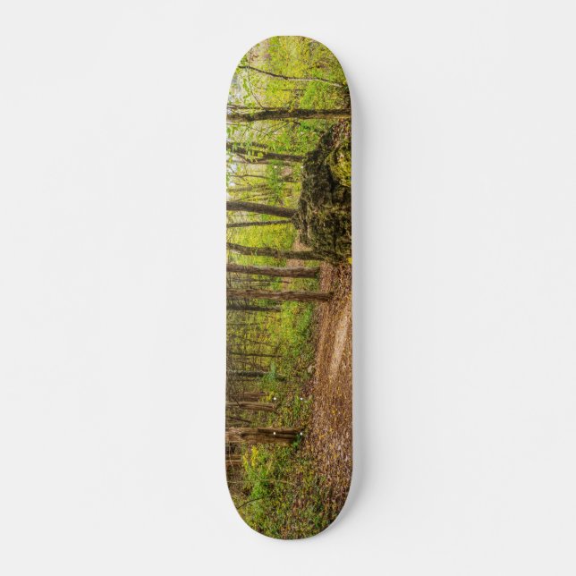 Skate Para Baixo E Ao Redor (Frente)