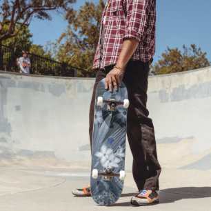 Skate Paraíso de Aves Exótico 3 #arte #tropical