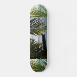 Skate Paraíso Tropical Água Praia Areia Surf Destino