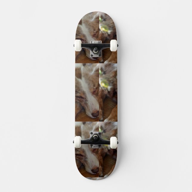 Skate pastor australiano malhado vermelho (Frente)
